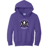 Lady Badgers Youth Core Fleece Pullover Hooded Sweatshirt
